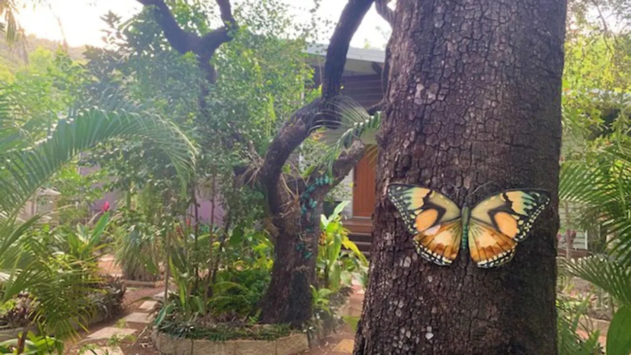 Papillon Bleu Villa Horseshoe Bay Australia